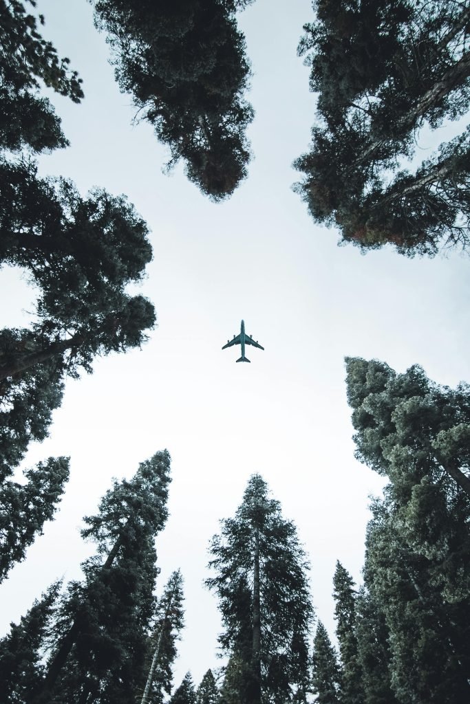 Low Angle Photo of Airplane